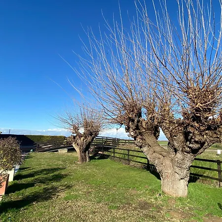 Hacienda De Leon אורחן *