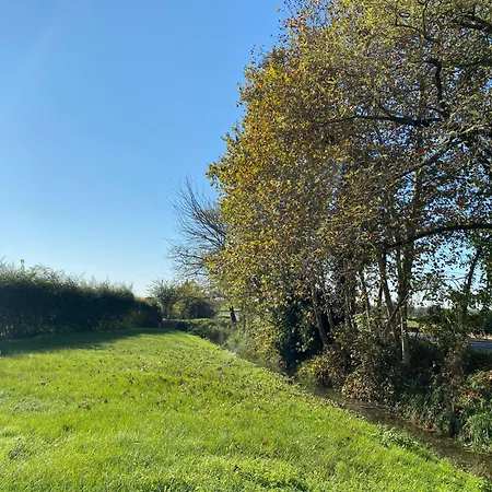 Hacienda De Leon Värdshus *