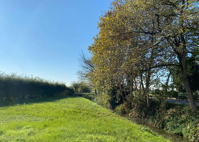 Hacienda De Leon Πανδοχείο *