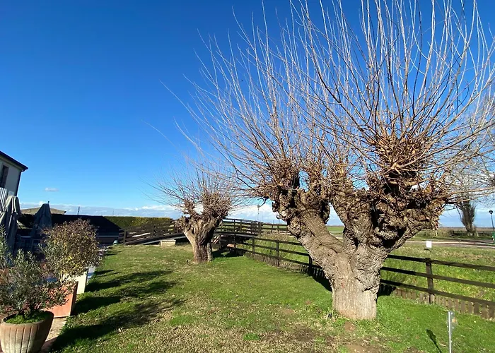 Hacienda De Leon Gasthof *